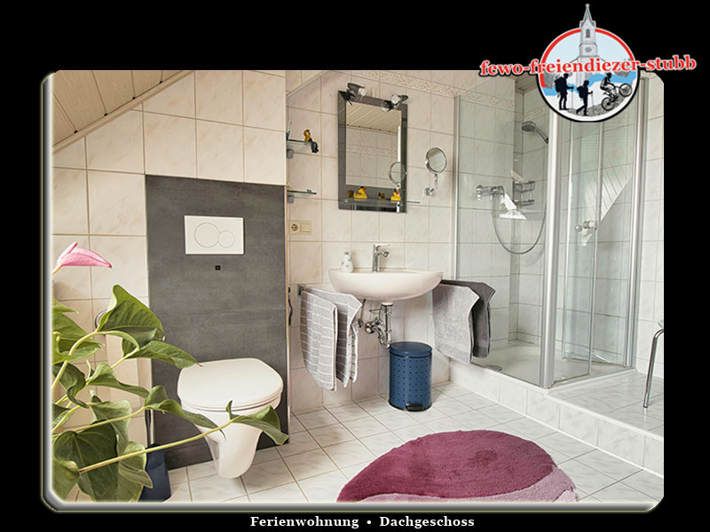 Badezimmer der Ferienwohnung Freiendiezer Stubb in Diez